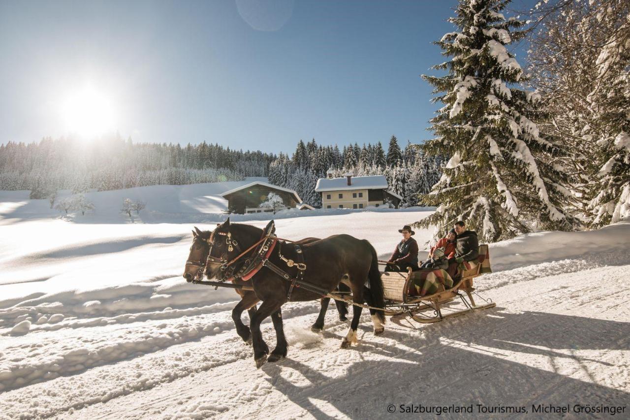 Hideaway Dachstein West By Alps Resorts Занкт-Мартін-ам-Тенненґебірґе Екстер'єр фото